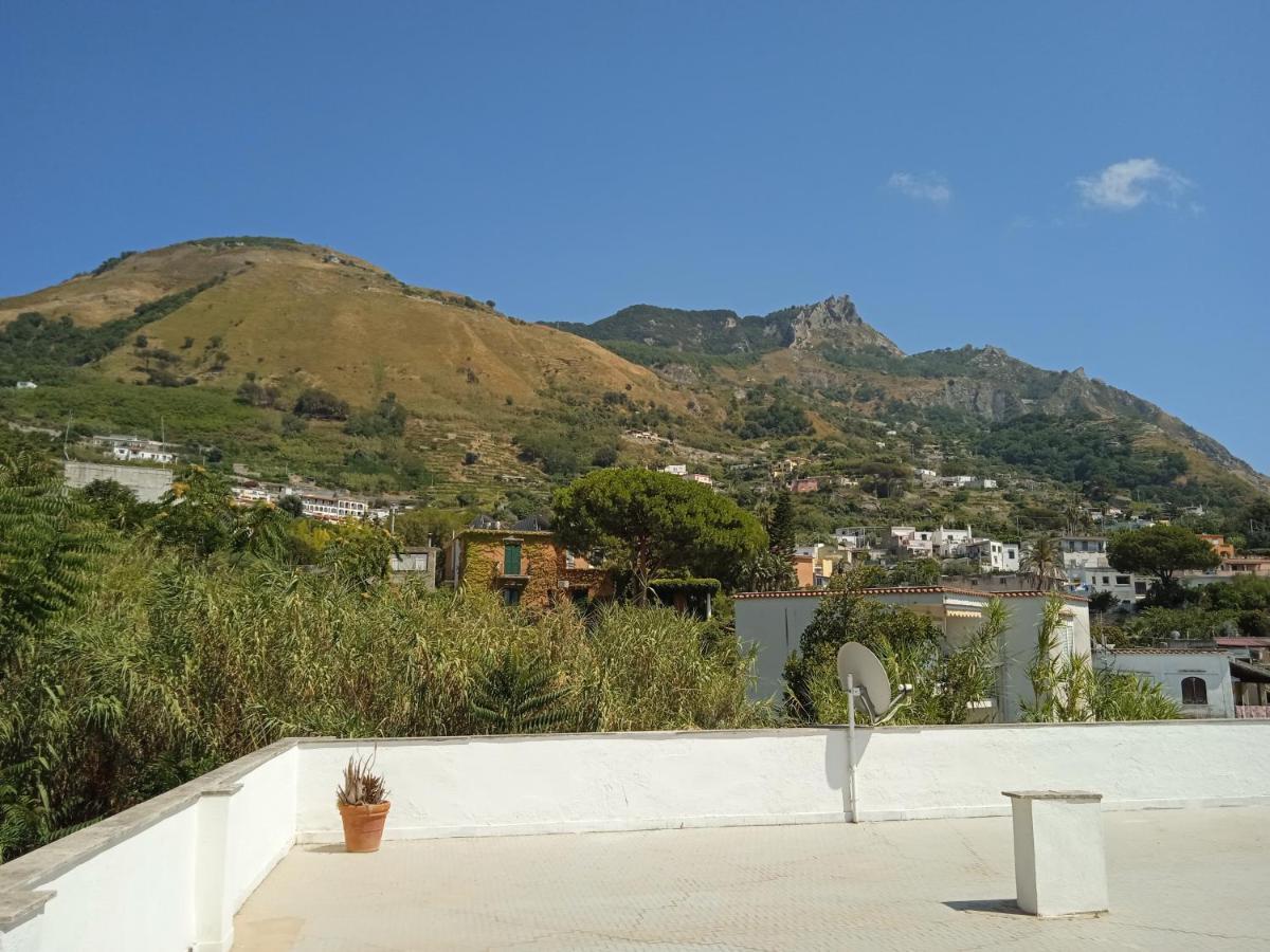 Villa Thomas BB Forio di Ischia Exterior foto