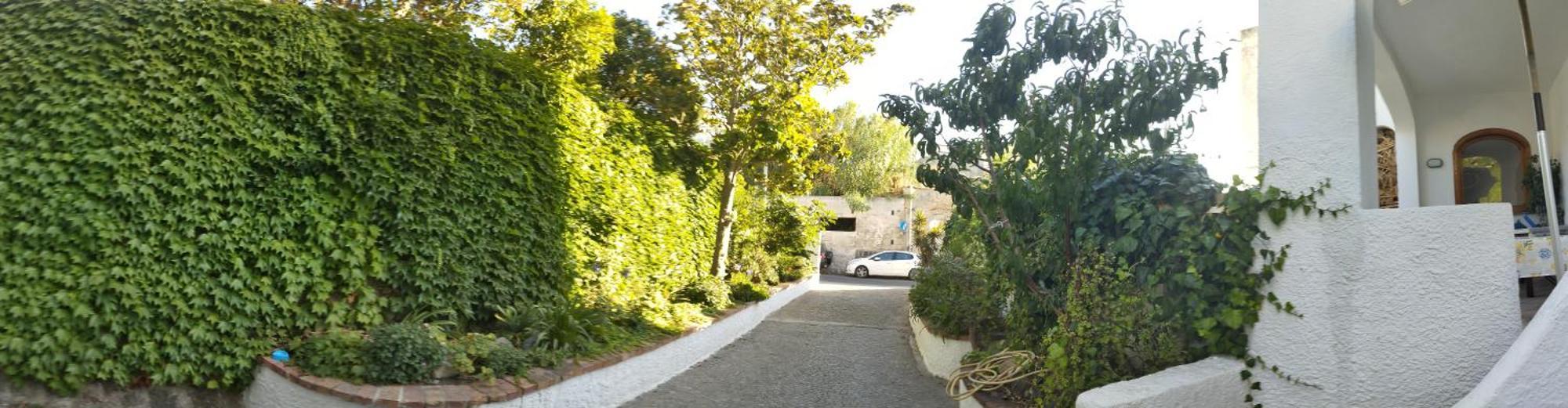 Villa Thomas BB Forio di Ischia Exterior foto