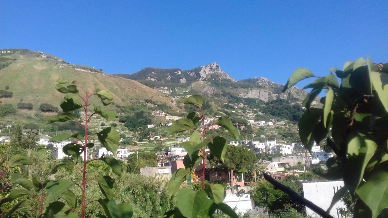 Villa Thomas BB Forio di Ischia Exterior foto